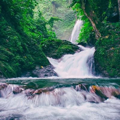战斗卡牌手游下载