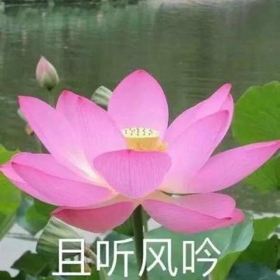 怎么正确对待家风家教